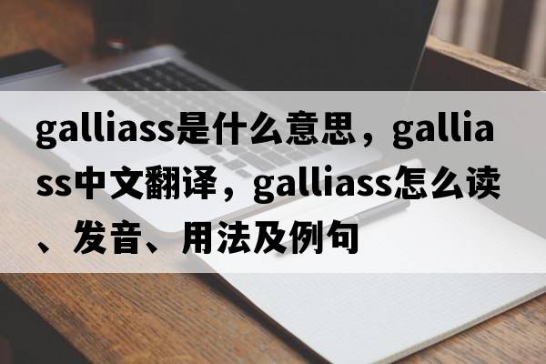 galliass是什么意思，galliass中文翻譯，galliass怎么讀、發(fā)音、用法及例句
