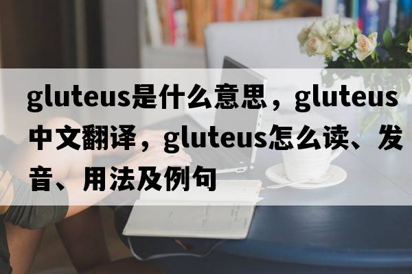 gluteus是什么意思，gluteus中文翻譯，gluteus怎么讀、發(fā)音、用法及例句