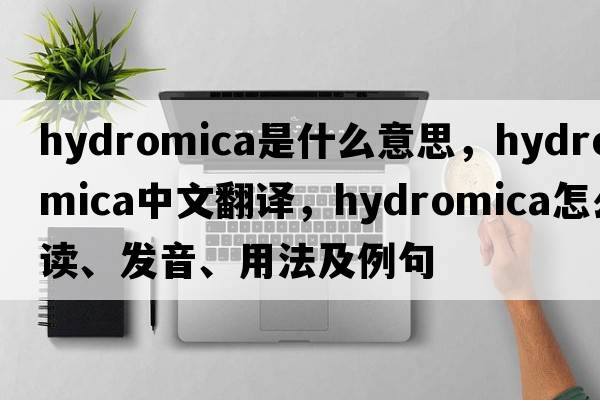 hydromica是什么意思，hydromica中文翻譯，hydromica怎么讀、發(fā)音、用法及例句