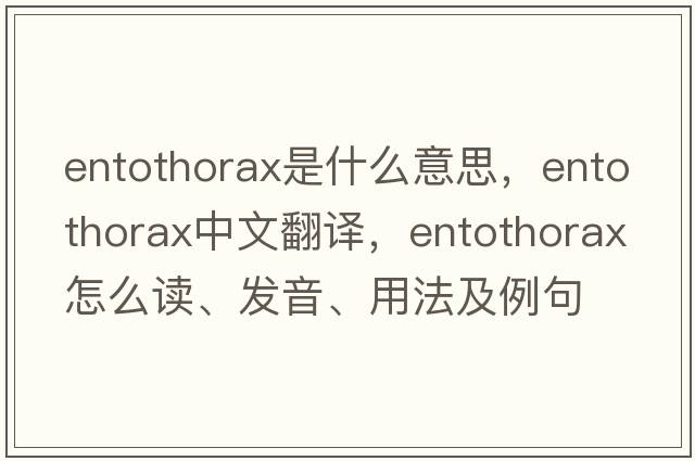 entothorax是什么意思，entothorax中文翻譯，entothorax怎么讀、發(fā)音、用法及例句