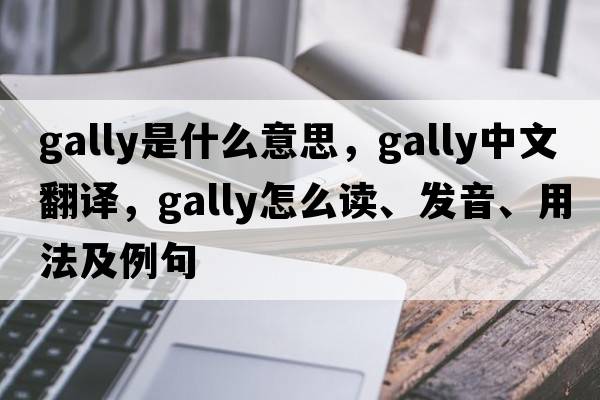 gally是什么意思，gally中文翻譯，gally怎么讀、發(fā)音、用法及例句