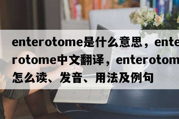 enterotome是什么意思，enterotome中文翻譯，enterotome怎么讀、發(fā)音、用法及例句