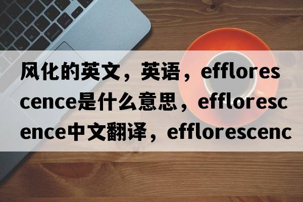 風(fēng)化的英文，英語(yǔ)，efflorescence是什么意思，efflorescence中文翻譯，efflorescence怎么讀、發(fā)音、用法及例句