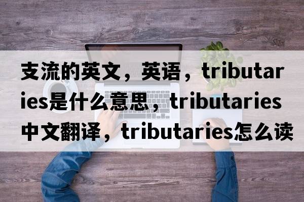 支流的英文，英語(yǔ)，tributaries是什么意思，tributaries中文翻譯，tributaries怎么讀、發(fā)音、用法及例句
