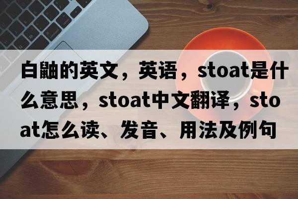 白鼬的英文，英語(yǔ)，stoat是什么意思，stoat中文翻譯，stoat怎么讀、發(fā)音、用法及例句