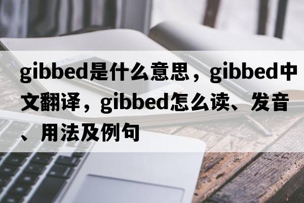 gibbed是什么意思，gibbed中文翻譯，gibbed怎么讀、發(fā)音、用法及例句