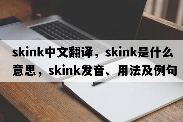 skink中文翻譯，skink是什么意思，skink發(fā)音、用法及例句