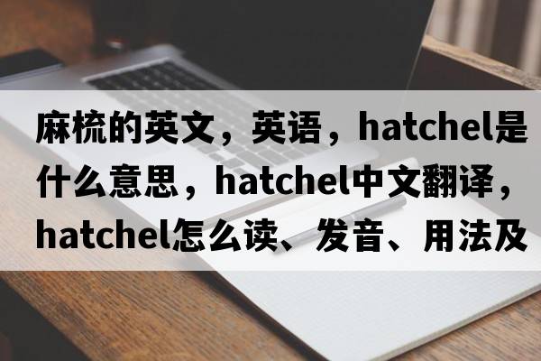 麻梳的英文，英語(yǔ)，hatchel是什么意思，hatchel中文翻譯，hatchel怎么讀、發(fā)音、用法及例句