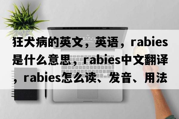 狂犬病的英文，英語(yǔ)，rabies是什么意思，rabies中文翻譯，rabies怎么讀、發(fā)音、用法及例句