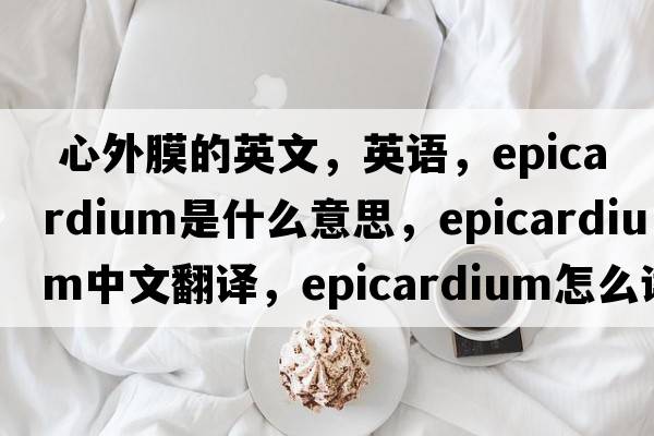  心外膜的英文，英語(yǔ)，epicardium是什么意思，epicardium中文翻譯，epicardium怎么讀、發(fā)音、用法及例句