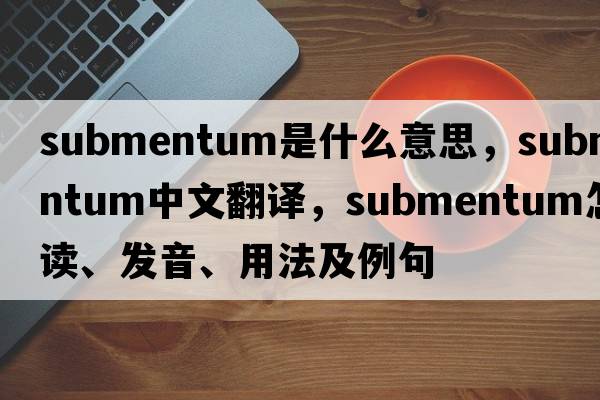 submentum是什么意思，submentum中文翻譯，submentum怎么讀、發(fā)音、用法及例句