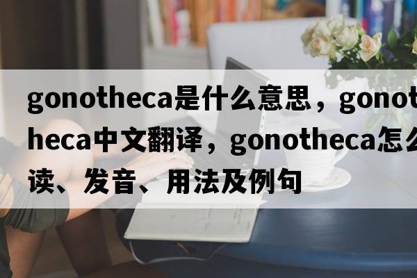 gonotheca是什么意思，gonotheca中文翻譯，gonotheca怎么讀、發(fā)音、用法及例句