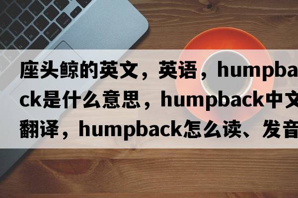 座頭鯨的英文，英語(yǔ)，humpback是什么意思，humpback中文翻譯，humpback怎么讀、發(fā)音、用法及例句