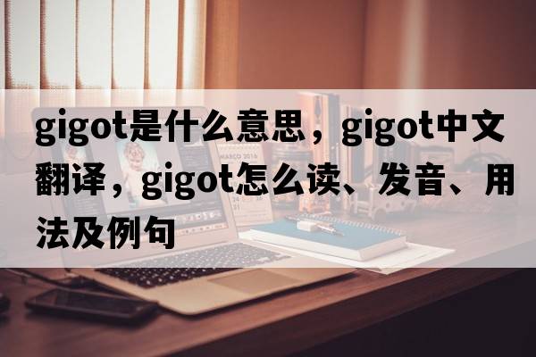 gigot是什么意思，gigot中文翻譯，gigot怎么讀、發(fā)音、用法及例句