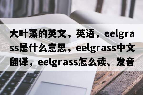 大葉藻的英文，英語(yǔ)，eelgrass是什么意思，eelgrass中文翻譯，eelgrass怎么讀、發(fā)音、用法及例句
