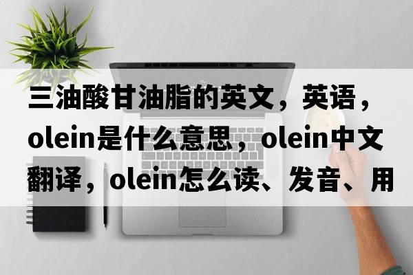 三油酸甘油脂的英文，英語(yǔ)，olein是什么意思，olein中文翻譯，olein怎么讀、發(fā)音、用法及例句