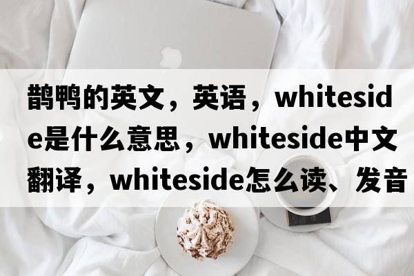 鵲鴨的英文，英語(yǔ)，Whiteside是什么意思，Whiteside中文翻譯，Whiteside怎么讀、發(fā)音、用法及例句