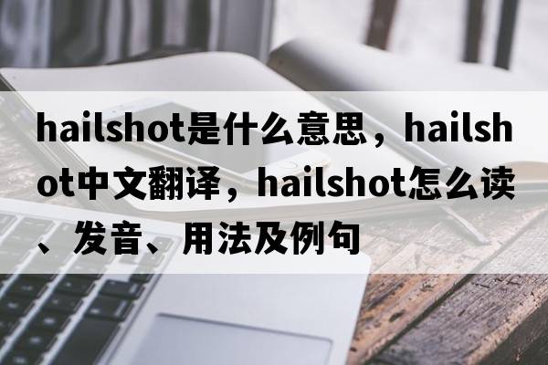 hailshot是什么意思，hailshot中文翻譯，hailshot怎么讀、發(fā)音、用法及例句