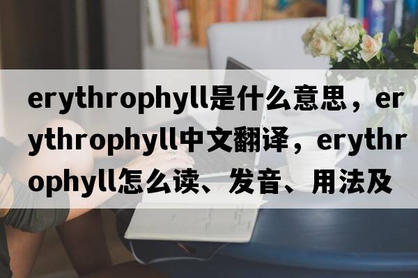 erythrophyll是什么意思，erythrophyll中文翻譯，erythrophyll怎么讀、發(fā)音、用法及例句