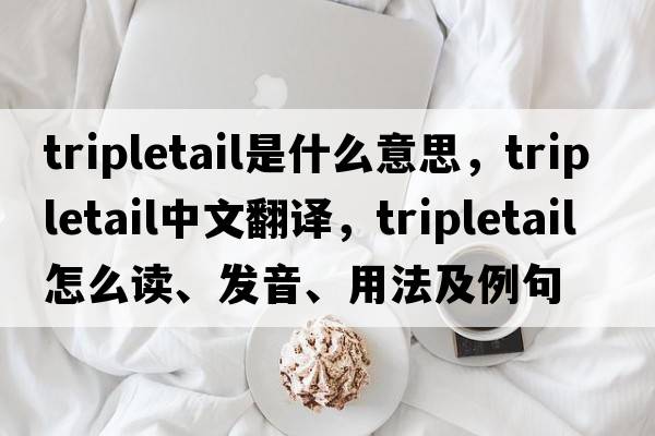 tripletail是什么意思，tripletail中文翻譯，tripletail怎么讀、發(fā)音、用法及例句