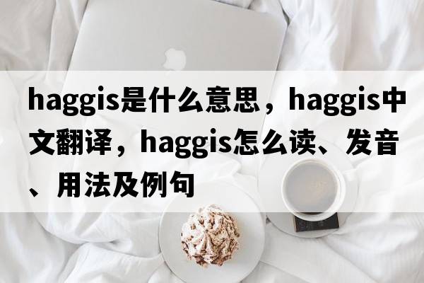haggis是什么意思，haggis中文翻譯，haggis怎么讀、發(fā)音、用法及例句