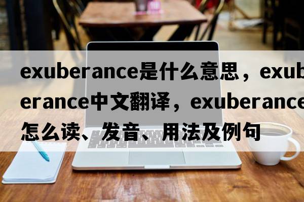 exuberance是什么意思，exuberance中文翻譯，exuberance怎么讀、發(fā)音、用法及例句