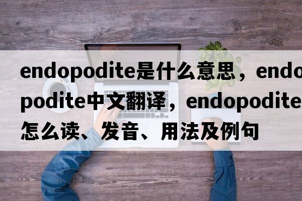 endopodite是什么意思，endopodite中文翻譯，endopodite怎么讀、發(fā)音、用法及例句