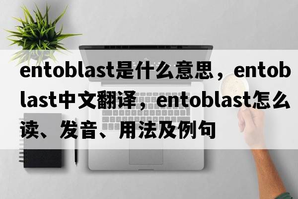 entoblast是什么意思，entoblast中文翻譯，entoblast怎么讀、發(fā)音、用法及例句
