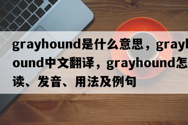 grayhound是什么意思，grayhound中文翻譯，grayhound怎么讀、發(fā)音、用法及例句
