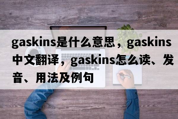 Gaskins是什么意思，Gaskins中文翻譯，Gaskins怎么讀、發(fā)音、用法及例句