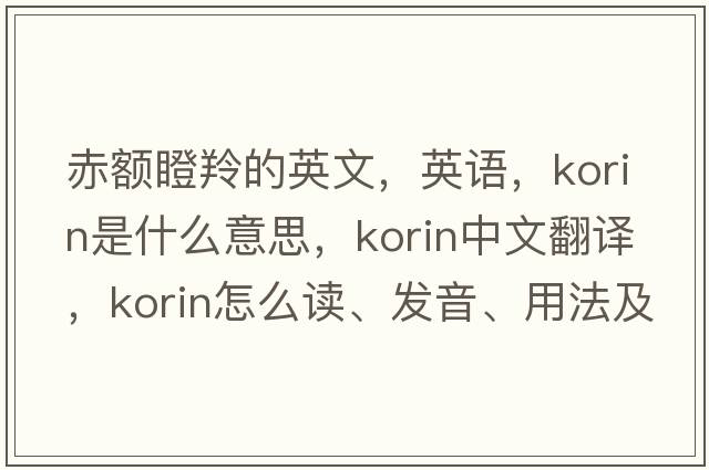 赤額瞪羚的英文，英語(yǔ)，korin是什么意思，korin中文翻譯，korin怎么讀、發(fā)音、用法及例句