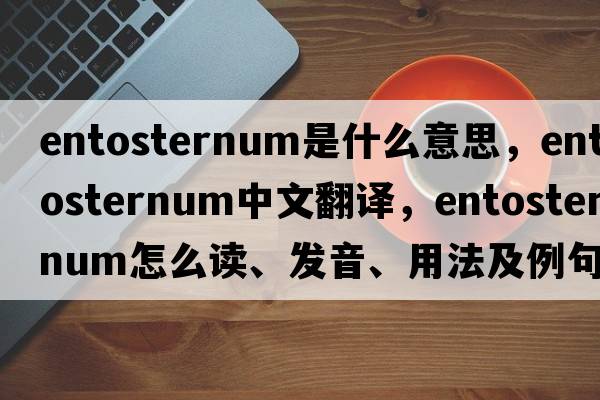 entosternum是什么意思，entosternum中文翻譯，entosternum怎么讀、發(fā)音、用法及例句