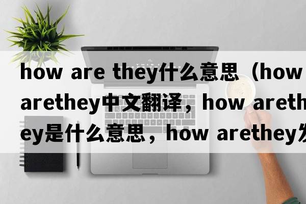 how are they什么意思（how arethey中文翻譯，how arethey是什么意思，how arethey發(fā)音、用法及例句）