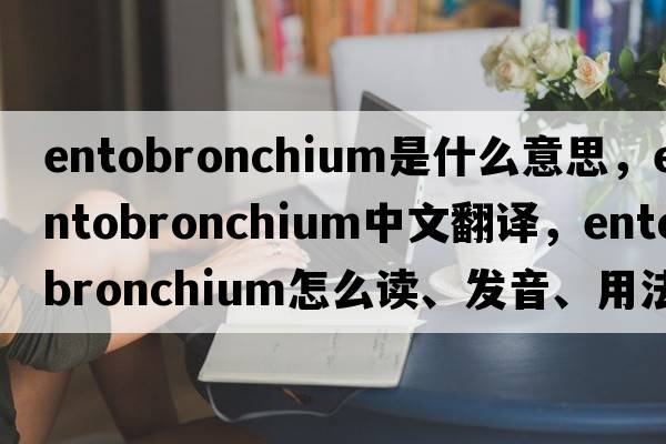 entobronchium是什么意思，entobronchium中文翻譯，entobronchium怎么讀、發(fā)音、用法及例句