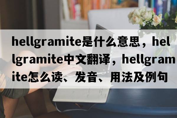 hellgramite是什么意思，hellgramite中文翻譯，hellgramite怎么讀、發(fā)音、用法及例句