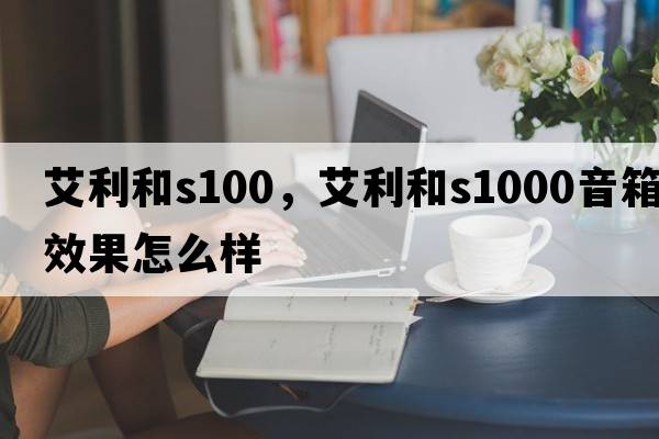 艾利和s100，艾利和s1000音箱效果怎么樣