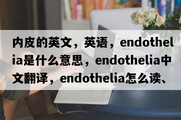 內皮的英文，英語(yǔ)，endothelia是什么意思，endothelia中文翻譯，endothelia怎么讀、發(fā)音、用法及例句
