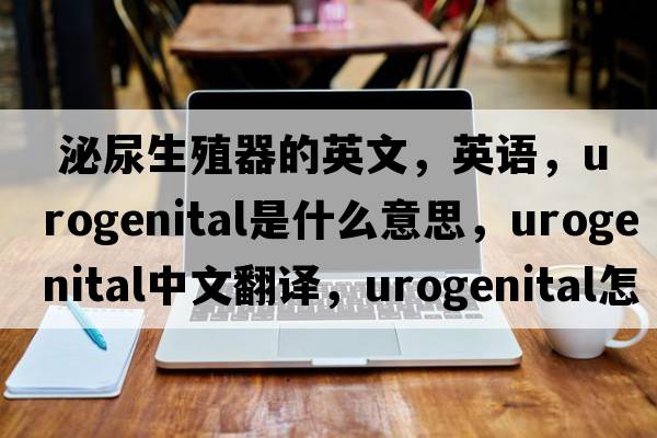  泌尿生殖器的英文，英語(yǔ)，urogenital是什么意思，urogenital中文翻譯，urogenital怎么讀、發(fā)音、用法及例句