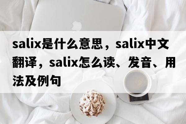 Salix是什么意思，Salix中文翻譯，Salix怎么讀、發(fā)音、用法及例句