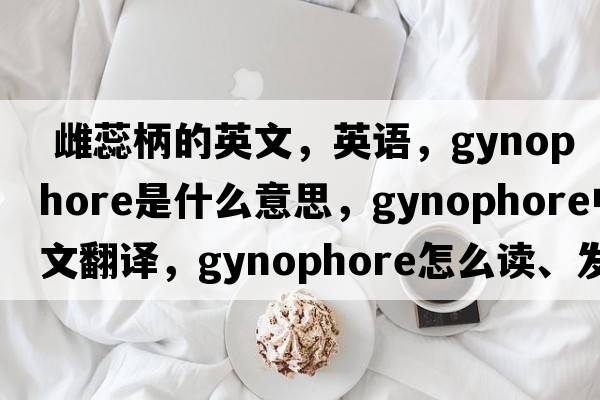  雌蕊柄的英文，英語(yǔ)，gynophore是什么意思，gynophore中文翻譯，gynophore怎么讀、發(fā)音、用法及例句