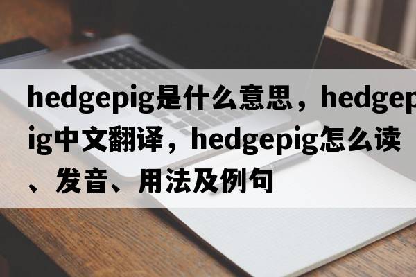 hedgepig是什么意思，hedgepig中文翻譯，hedgepig怎么讀、發(fā)音、用法及例句