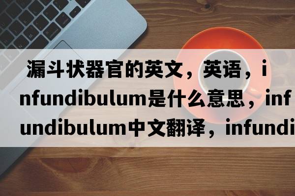  漏斗狀器官的英文，英語(yǔ)，infundibulum是什么意思，infundibulum中文翻譯，infundibulum怎么讀、發(fā)音、用法及例句
