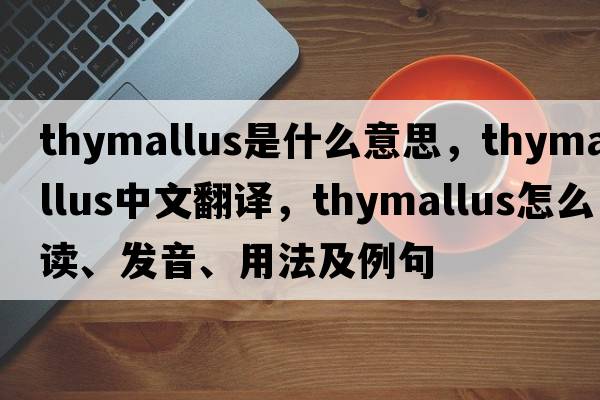 Thymallus是什么意思，Thymallus中文翻譯，Thymallus怎么讀、發(fā)音、用法及例句