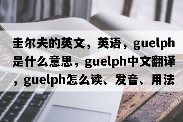 圭爾夫的英文，英語(yǔ)，Guelph是什么意思，Guelph中文翻譯，Guelph怎么讀、發(fā)音、用法及例句