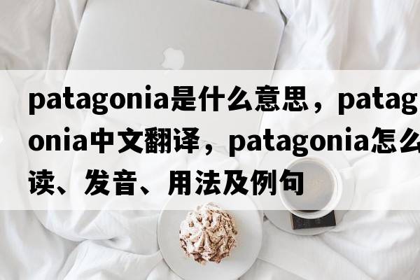 Patagonia是什么意思，Patagonia中文翻譯，Patagonia怎么讀、發(fā)音、用法及例句