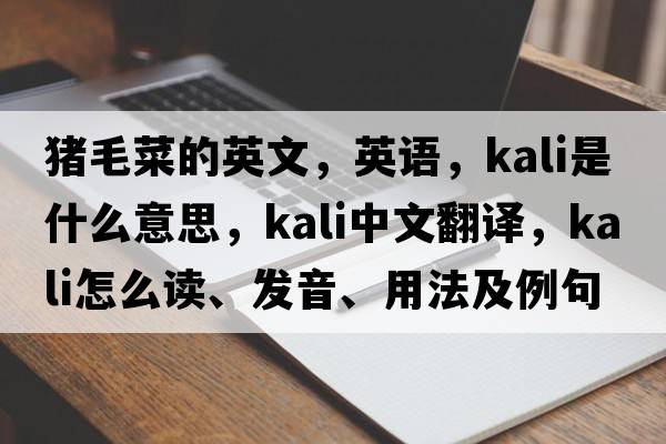 豬毛菜的英文，英語(yǔ)，kali是什么意思，kali中文翻譯，kali怎么讀、發(fā)音、用法及例句