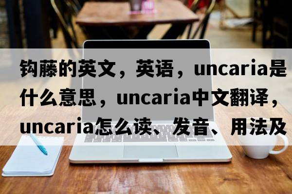 鉤藤的英文，英語(yǔ)，uncaria是什么意思，uncaria中文翻譯，uncaria怎么讀、發(fā)音、用法及例句