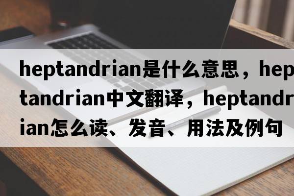 heptandrian是什么意思，heptandrian中文翻譯，heptandrian怎么讀、發(fā)音、用法及例句