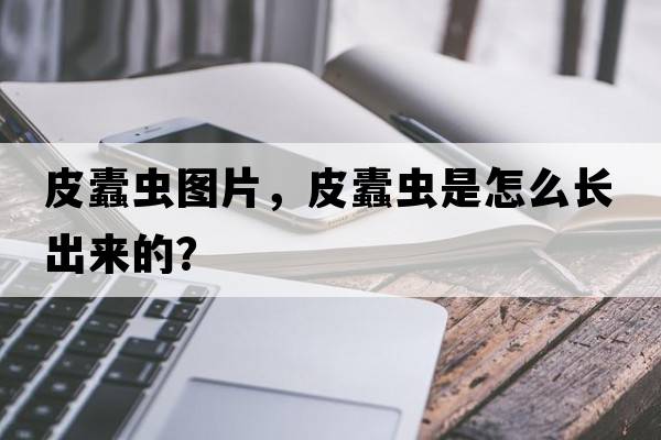 皮蠹蟲(chóng)圖片，皮蠹蟲(chóng)是怎么長(cháng)出來(lái)的？