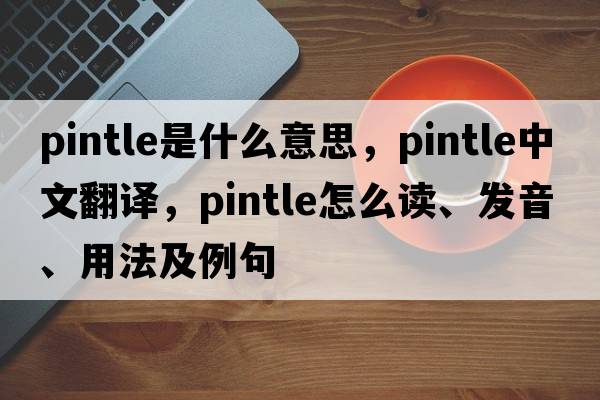 pintle是什么意思，pintle中文翻譯，pintle怎么讀、發(fā)音、用法及例句